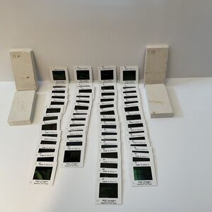 Full Set Of 55 Apollo 17 Mission 35 mm color Slides - Movie Newsreels
Company